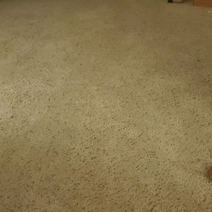 Meet your Posher, Bridgette